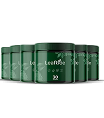 6 LeafTide jars